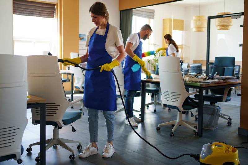 professional cleaning service